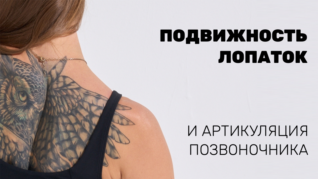 Подвижность лопаток и артикуляция позвоночника