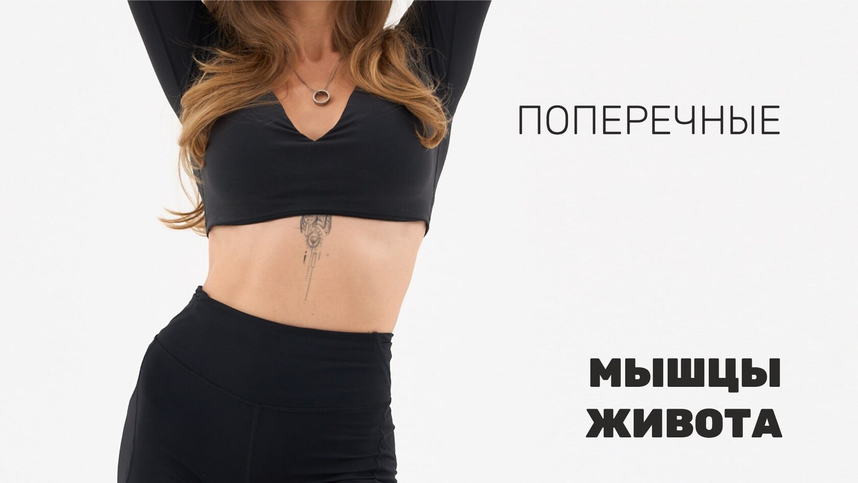 Поперечные мышцы живота